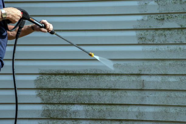 Best Sidewalk and Walkway Cleaning  in Maysville, MO